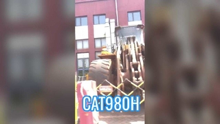 Cat. 980H